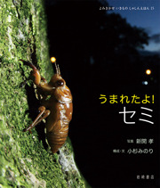 2025年8月絵本1