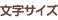 文字サイズ