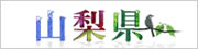 山梨県