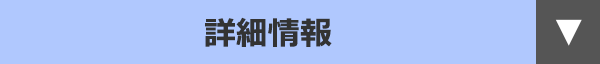 詳細情報